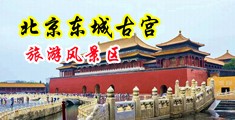老妇的骚逼中国北京-东城古宫旅游风景区